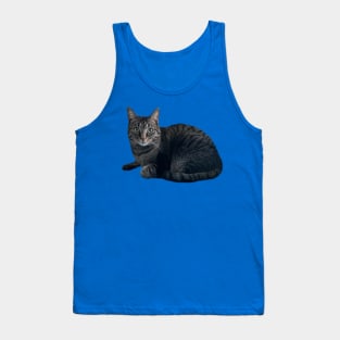 Tabby Cutie Tank Top